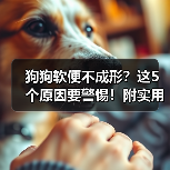 狗狗软便不成形？这5个原因要警惕！附实用解决办法（图4）
