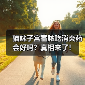 猫咪子宫蓄脓吃消炎药会好吗？真相来了！（图3）