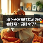 猫咪子宫蓄脓吃消炎药会好吗？真相来了！（图4）