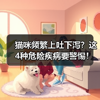 猫咪频繁上吐下泻？这4种危险疾病要警惕！新手铲屎官必看