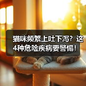 猫咪频繁上吐下泻？这4种危险疾病要警惕！新手铲屎官必看（图2）