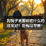 狗狗子宫蓄脓吃什么药效果好？后悔没早看！（图2）