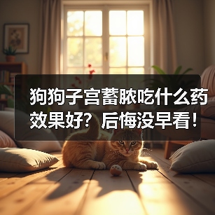 狗狗子宫蓄脓吃什么药效果好？后悔没早看！（图3）