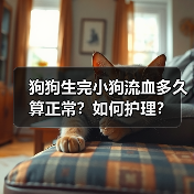狗狗生完小狗流血多久算正常？如何护理？