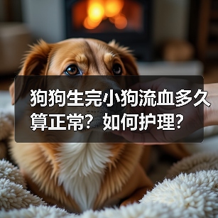 狗狗生完小狗流血多久算正常？如何护理？（图3）