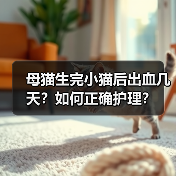 母猫生完小猫后出血几天？如何正确护理？（图3）