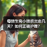 母猫生完小猫后出血几天？如何正确护理？（图4）