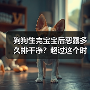 狗狗生完宝宝后恶露多久排干净？超过这个时间要警惕！（图3）