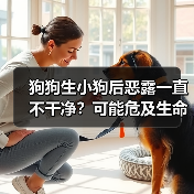 狗狗生小狗后恶露一直不干净？可能危及生命！（图4）