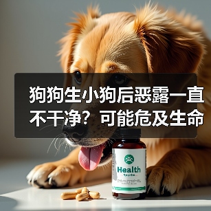 狗狗生小狗后恶露一直不干净？可能危及生命！（图3）