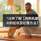1分钟了解【狗狗乳腺炎的症状及处理方法】（图4）