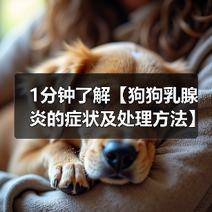 1分钟了解【狗狗乳腺炎的症状及处理方法】
