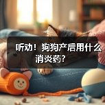 听劝！狗狗产后用什么消炎药？