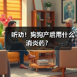 听劝！狗狗产后用什么消炎药？（图3）