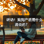 听劝！狗狗产后用什么消炎药？（图4）