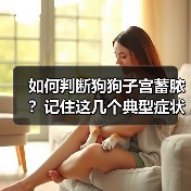 如何判断狗狗子宫蓄脓？记住这几个典型症状！（图2）
