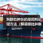 狗眼睑肿胀的原因和处理方法（解读眼睑肿胀的症状和治疗措施）