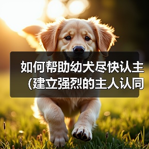 如何帮助幼犬尽快认主（建立强烈的主人认同感，促进快速适应新环境）（图2）