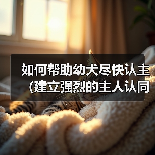 如何帮助幼犬尽快认主（建立强烈的主人认同感，促进快速适应新环境）