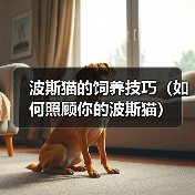 波斯猫的饲养技巧（如何照顾你的波斯猫）（图3）