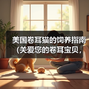美国卷耳猫的饲养指南（关爱您的卷耳宝贝，健康快乐生活）