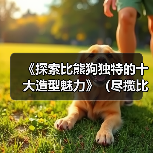 《探索比熊狗独特的十大造型魅力》（尽揽比熊萌态，一览十款独具特色的造型艺术品）