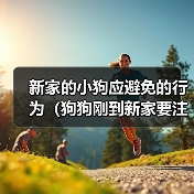 新家的小狗应避免的行为（狗狗刚到新家要注意的事项）（图3）