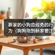 新家的小狗应避免的行为（狗狗刚到新家要注意的事项）（图4）