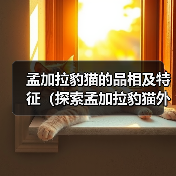 孟加拉豹猫的品相及特征(探索孟加拉豹猫外貌和行为的迷人之处)(图4) 孟加拉豹猫的品相及特征(探索孟加拉豹猫外貌和行为的迷人之处)(图4)