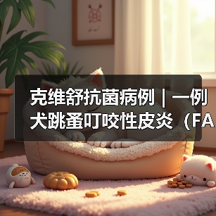 克维舒抗菌病例 | 一例犬跳蚤叮咬性皮炎（FAD）的病例分析