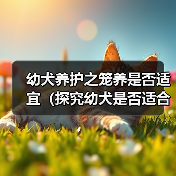 幼犬养护之笼养是否适宜(探究幼犬是否适合长期关在笼子中及影响因素)(图3) 幼犬养护之笼养是否适宜(探究幼犬是否适合长期关在笼子中及影响因素)(图3)