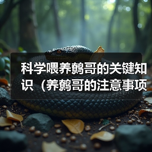 科学喂养鹩哥的关键知识(养鹩哥的注意事项及喂养技巧)(图3) 科学喂养鹩哥的关键知识(养鹩哥的注意事项及喂养技巧)(图3)