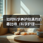 如何科学养护刚满月的惠比特(科学护理——让你的惠比特宠物健康成长)(图3) 如何科学养护刚满月的惠比特(科学护理——让你的惠比特宠物健康成长)(图3)