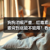 狗狗泪痕严重,红霉素眼膏到底能不能用?看完就懂!(图3) 狗狗泪痕严重,红霉素眼膏到底能不能用?看完就懂!(图3)