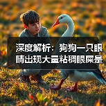 深度解析:狗狗一只眼睛出现大量粘稠眼屎是怎么回事?(图1) 深度解析:狗狗一只眼睛出现大量粘稠眼屎是怎么回事?(图1)