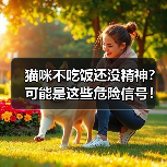 猫咪不吃饭还没精神?可能是这些危险信号!附急救指南(图3) 猫咪不吃饭还没精神?可能是这些危险信号!附急救指南(图3)