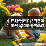小猫腿骨折了能自愈吗?用数据和案例告诉你真相(图1) 小猫腿骨折了能自愈吗?用数据和案例告诉你真相(图1)