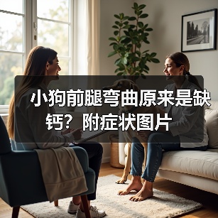 小狗前腿弯曲原来是缺钙?附症状图片(图1) 小狗前腿弯曲原来是缺钙?附症状图片(图1)