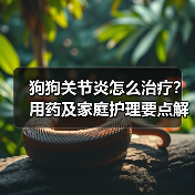 狗狗关节炎怎么治疗?用药及家庭护理要点解析(图3) 狗狗关节炎怎么治疗?用药及家庭护理要点解析(图3)