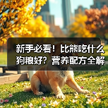 新手必看!比熊吃什么狗粮好?营养配方全解析(图3) 新手必看!比熊吃什么狗粮好?营养配方全解析(图3)