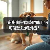 狗狗脚掌肉垫肿胀？很可能是趾间炎症！（图3）