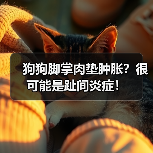 狗狗脚掌肉垫肿胀？很可能是趾间炎症！（图2）