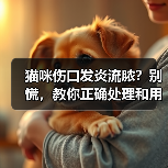 猫咪伤口发炎流脓？别慌，教你正确处理和用药（图4）
