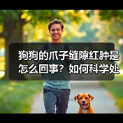 狗狗的爪子缝隙红肿是怎么回事?如何科学处理?(图1) 狗狗的爪子缝隙红肿是怎么回事?如何科学处理?(图1)