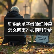 狗狗的爪子缝隙红肿是怎么回事?如何科学处理?(图3) 狗狗的爪子缝隙红肿是怎么回事?如何科学处理?(图3)