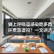 猫上呼吸道感染吃多西环素靠谱吗？一文讲透真相（图3）