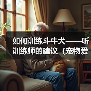 如何训练斗牛犬——听训练师的建议（宠物爱好者必看，斗牛犬训练全攻略）