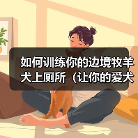 如何训练你的边境牧羊犬上厕所（让你的爱犬远离随地大小便，享受健康生活）