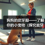 狗狗的磨牙期——了解你的小宠物（探究磨牙期对狗狗健康和行为的影响）