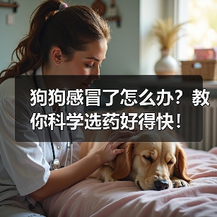 狗狗感冒了怎么办?教你科学选药好得快!(图2) 狗狗感冒了怎么办?教你科学选药好得快!(图2)